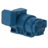 W40 Atviri indukciniai varikliai