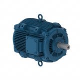 Fan and Exhaust Motors