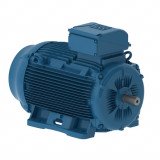 W22 – LOW VOLTAGE