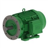 W22 High Voltage Motors