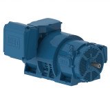 W40 Open Induction Motors