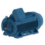 W50 Low and High Voltage Motors