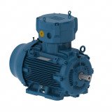 W22Xd Flameproof Motors