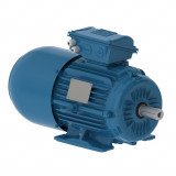 W22 Brake Motors