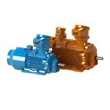 W22Xn - Non-Sparking Motors