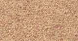 CORK