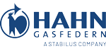 HAHN Gasfedern GmbH